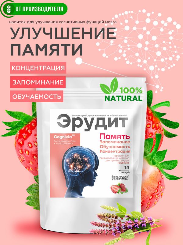 Drink "Erudite" with strawberries (for memory), 2 g x 14 sachets / Siberian fiber