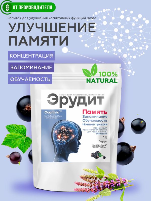 Drink "Erudite" with currants (for memory), 2 g x14 sachets / Siberian fiber